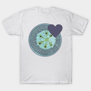 Diatom - Lindavia (icy blue) T-Shirt